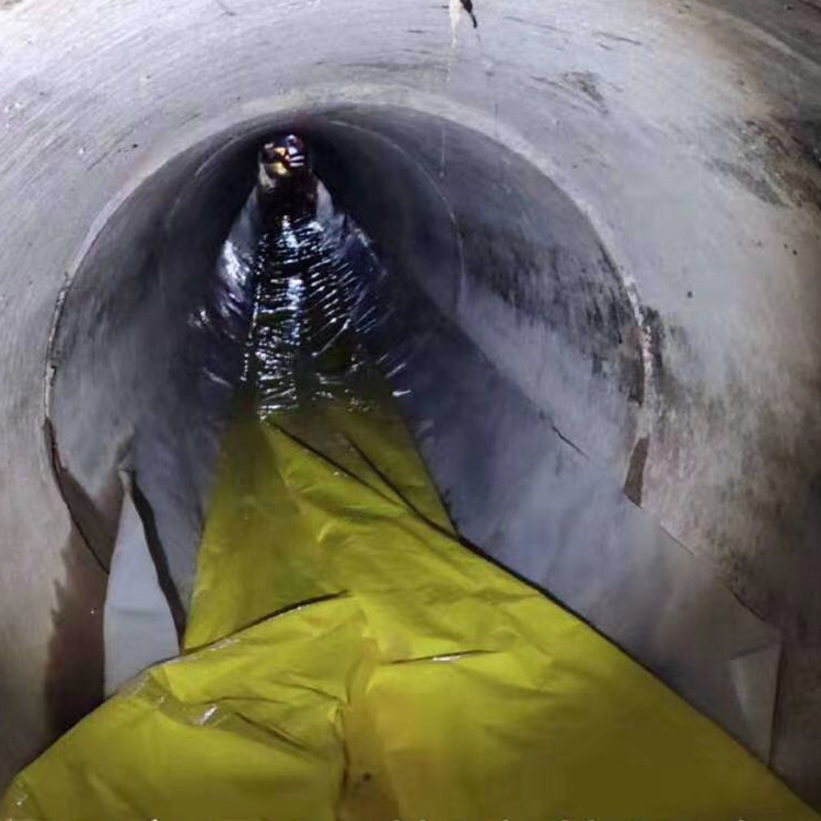 金城江管道光固化修复